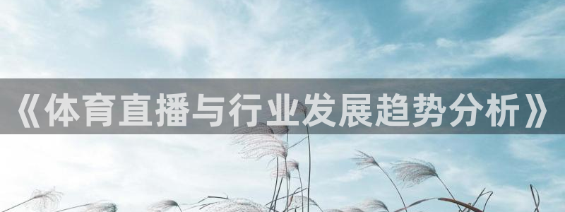 雨燕360体育免费直播nba：《体育直播与行业发展趋势分析》
