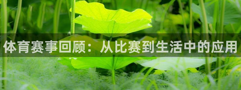 雨燕360体育直播免费观看高清：体育赛事回顾：从比赛到生活中的应用