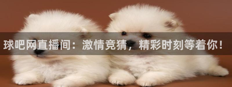 雨燕360足球直播免费观看：球吧网直播间：激情竞猜，精彩时刻等着你！