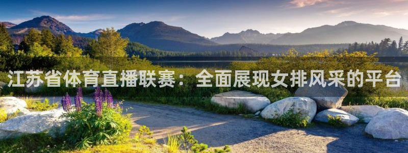 360雨燕无插件高清直播免费：江苏省体育直播联赛：全面展现女排风采的平台