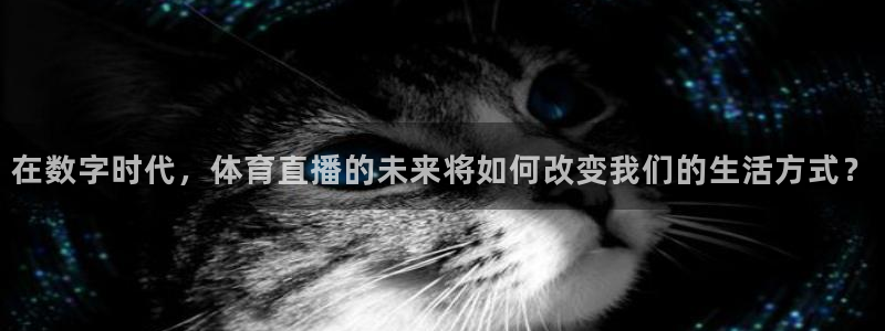 雨燕360体育现场直播：在数字时代，体育直播的未来将如何改变我们的生活方式？