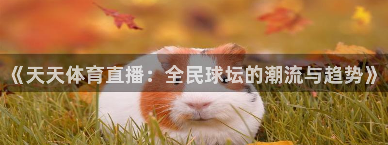 雨燕360体育直播nba免费入口：《天天体育直播：全民球坛的潮流与趋势》