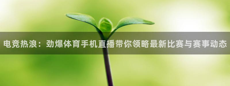 360足球直播高清：电竞热浪：劲爆体育手机直播带你领略最新比赛与赛事动态