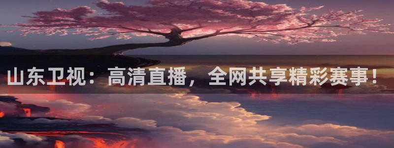 360直播球赛：山东卫视：高清直播，全网共享精彩赛事！