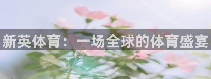 山东体育360足球直播在线观看：新英体育：一场全球的体育盛宴