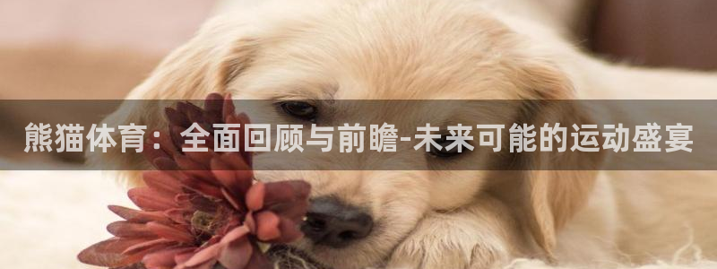360体育直播手机版：熊猫体育：全面回顾与前瞻-未来可能的运动盛宴