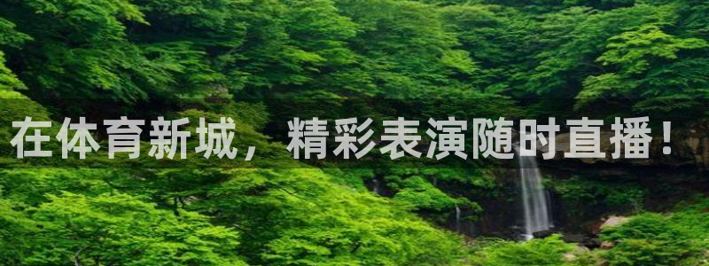 360直播雨燕直播：在体育新城，精彩表演随时直播！