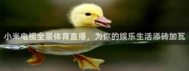雨燕360体育直播篮球直播：小米电视全景体育直播，为你的娱乐生活添砖加瓦