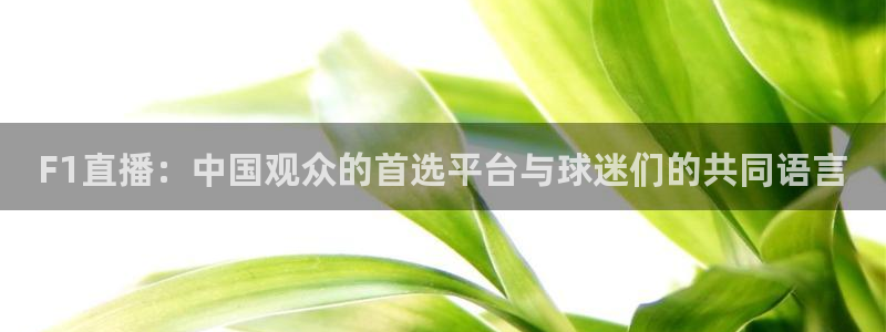 360五星体育直播网：F1直播：中国观众的首选平台与球迷们的共同语言