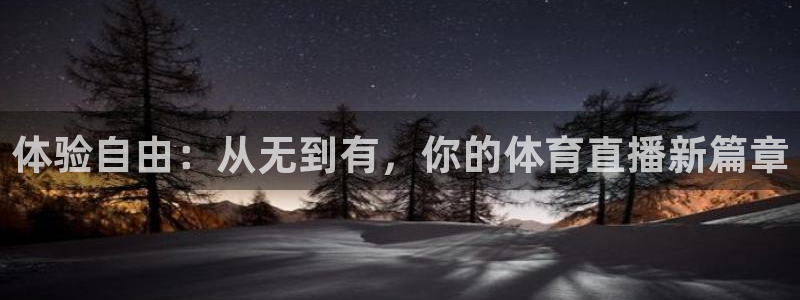 360体育直播nba在线观看：体验自由：从无到有，你的体育直播新篇章