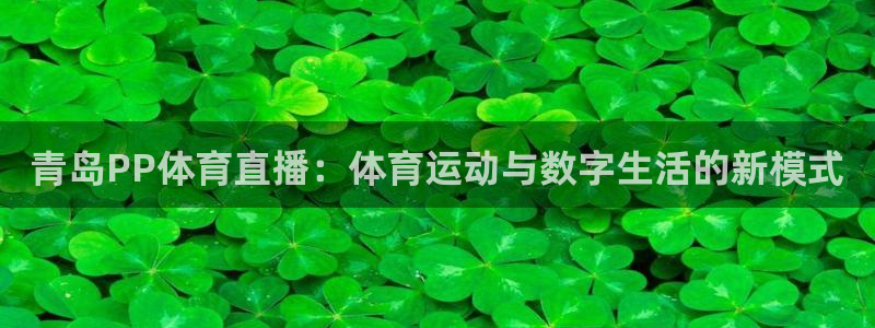360体育直播足球直播手机版