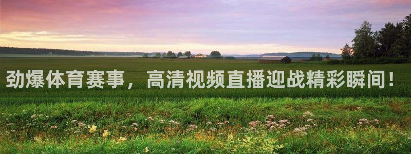 360足球直播雨燕