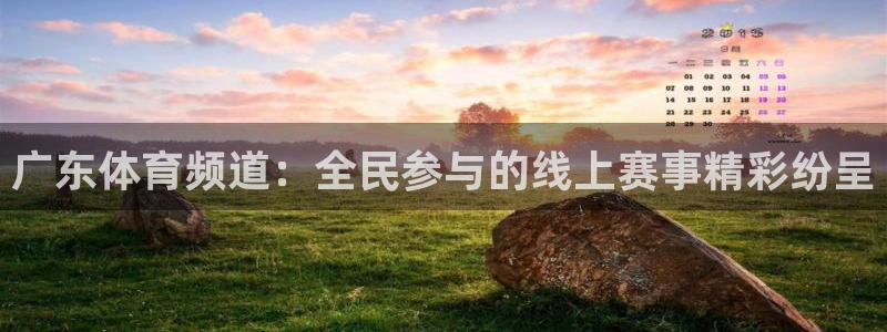 360直播体育：广东体育频道：全民参与的线上赛事精彩纷呈