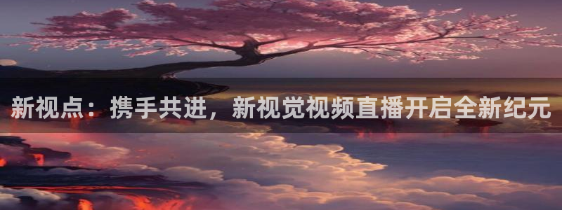 360直播nba无插件：新视点：携手共进，新视觉视频直播开启全新纪元