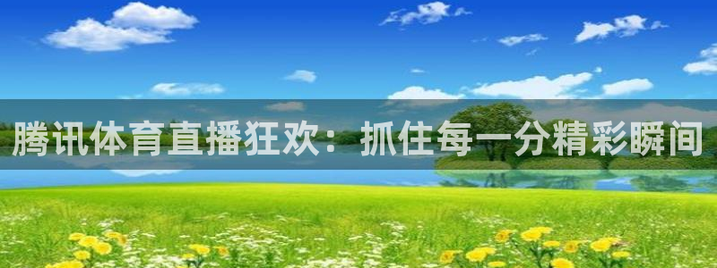 360雨燕直播nba：腾讯体育直播狂欢：抓住每一分精彩瞬间