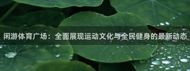 广东体育直播频道360：闲游体育广场：全面展现运动文化与全民健身的最新动态