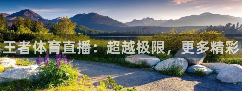 360看球直播在线直播：王者体育直播：超越极限，更多精彩