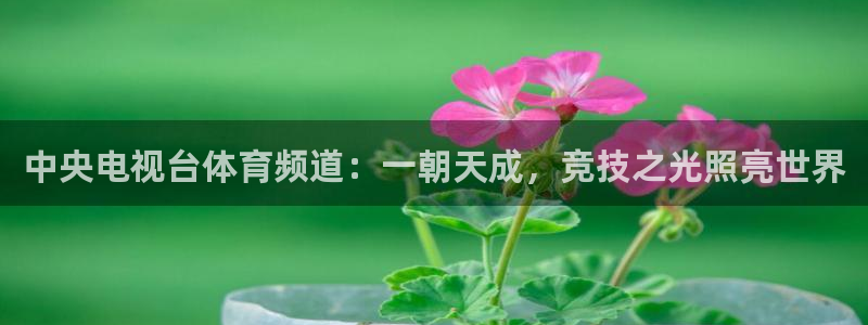 360直播(无插件)直播体育：中央电视台体育频道：一朝天成，竞技之光照亮世界